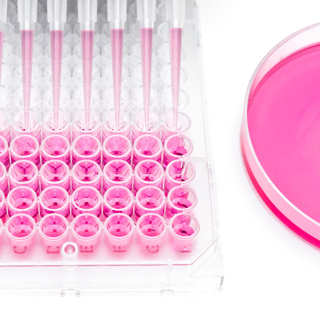 Picture of a petri plaque and a multi-channel pipette in a 96 well micro plate. Preservative efficacy testing principles. Pet test principles. Cytotoxicity testing principles. Toxicity test principles. Differences between preservative efficacy testing and cytotoxicity testing. What products require cytotoxicity testing. Usp 87 in-vitro testing. Usp 88 in-vivo testing